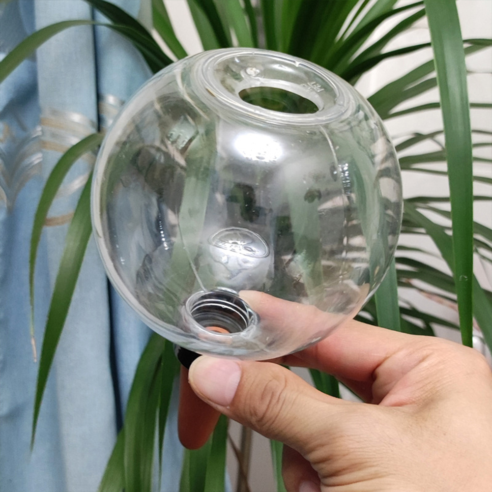 500ML Selbstbewässernde Kugeln – Self-Watering Planter Bewertung und Preis