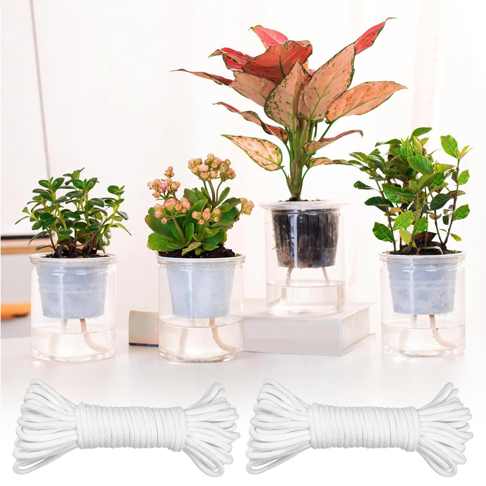 Pflanzenwickler für Selbstbewä – Self-Watering Planter Bewertung und Preis