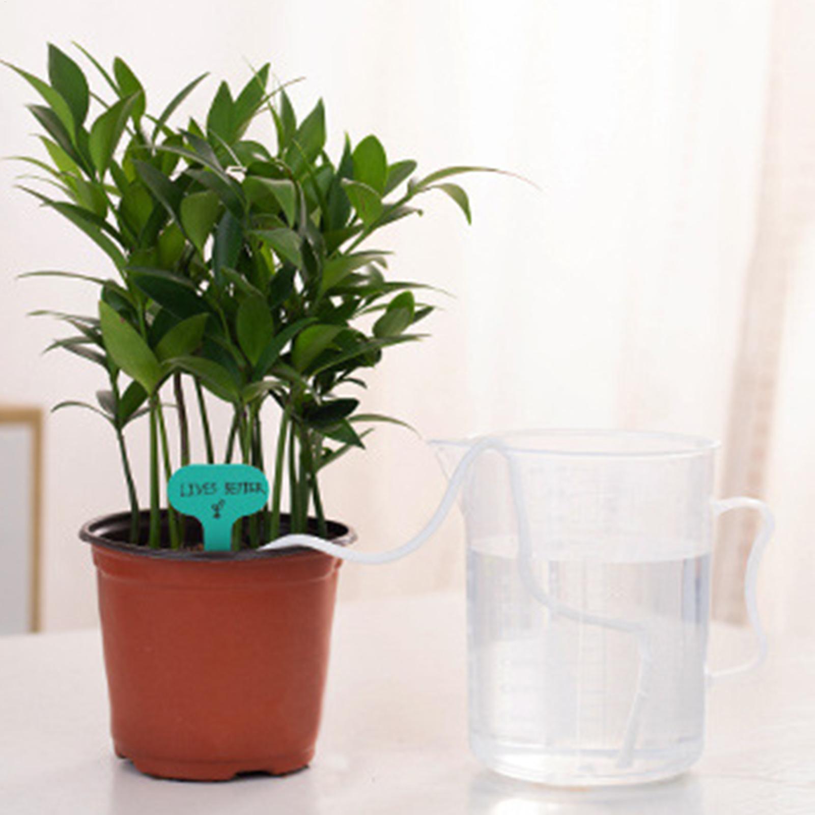 Pflanzenwickler für Selbstbewä – Self-Watering Planter Bewertung und Preis
