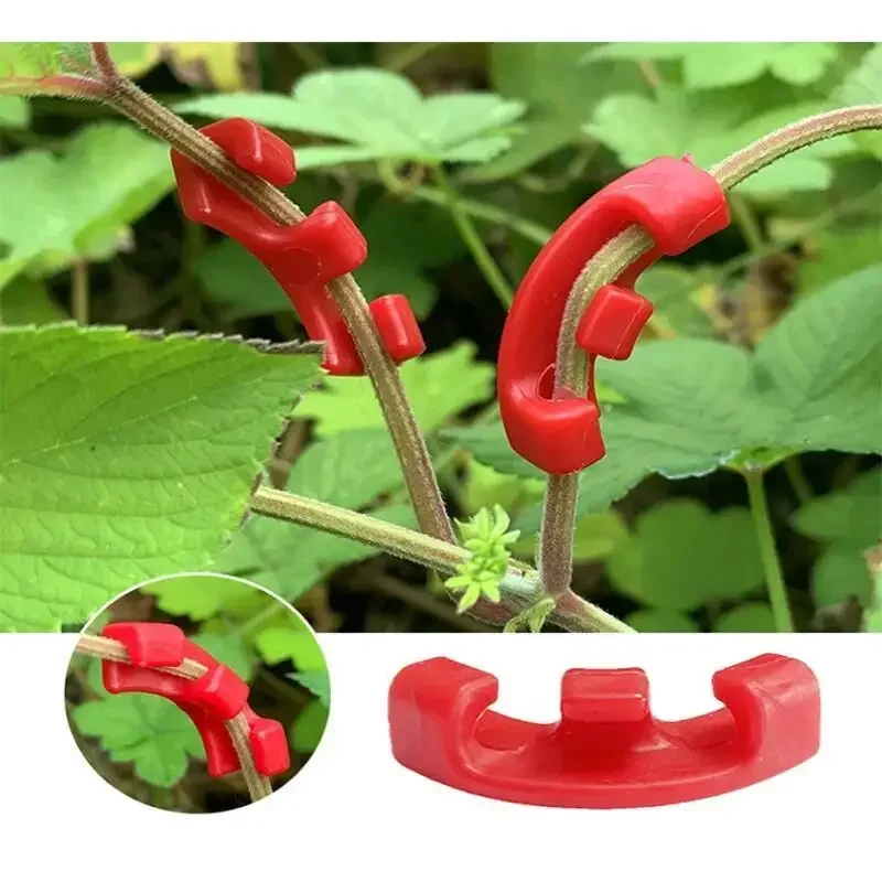 10-100 Stück 90-Grad-Pflanzent – Gardening Tools Lowes Bewertung und Preis