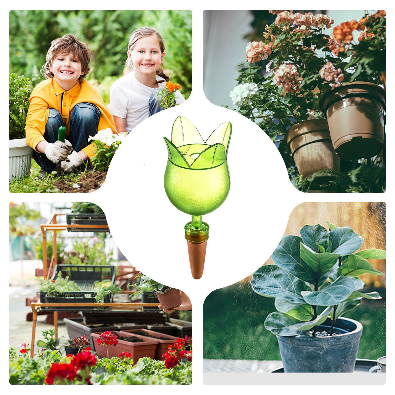 Selbstbewässerungsgeräte für P – Self-Watering Planter Bewertung und Preis