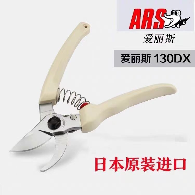 Schnitts chere, Gartengeräte,  – Gardening Tools In Japan Bewertung und Preis