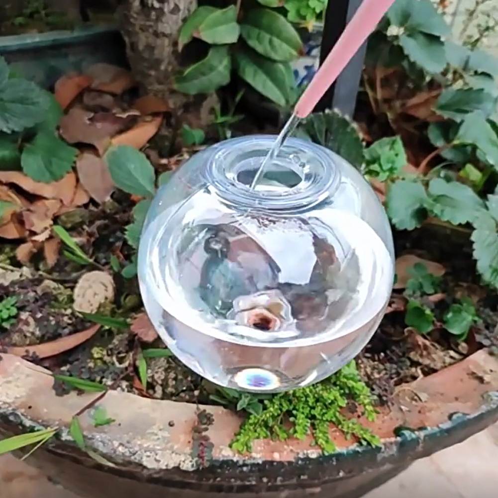 500ML Selbstbewässernde Globen – Self-Watering Planter Bewertung und Preis