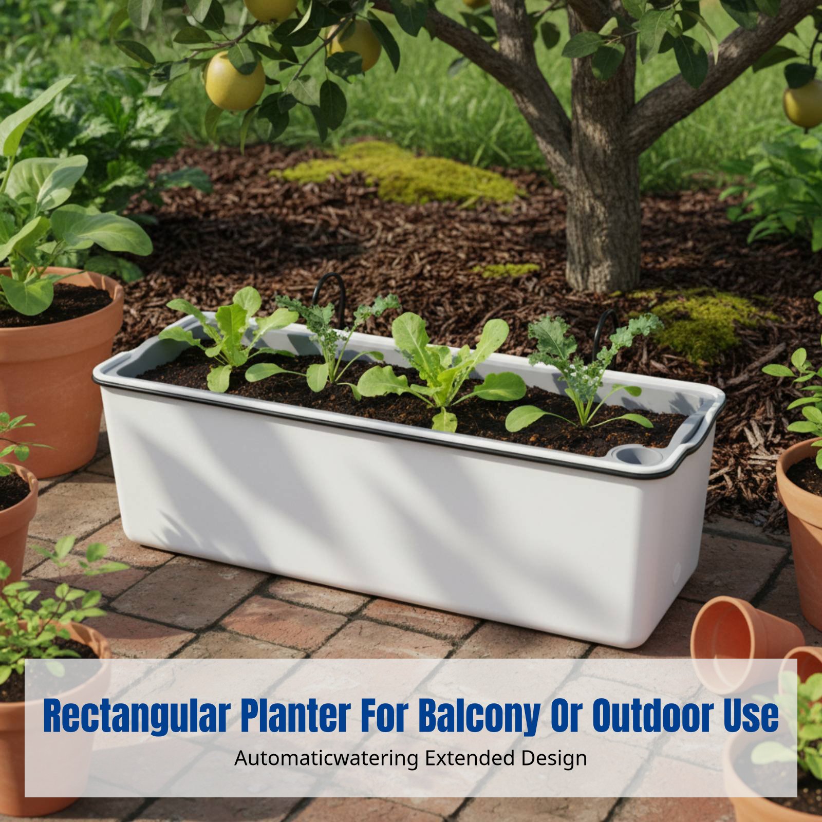 Balkon-Hängeblumentopf Rechtec – Self-Watering Planter Bewertung und Preis