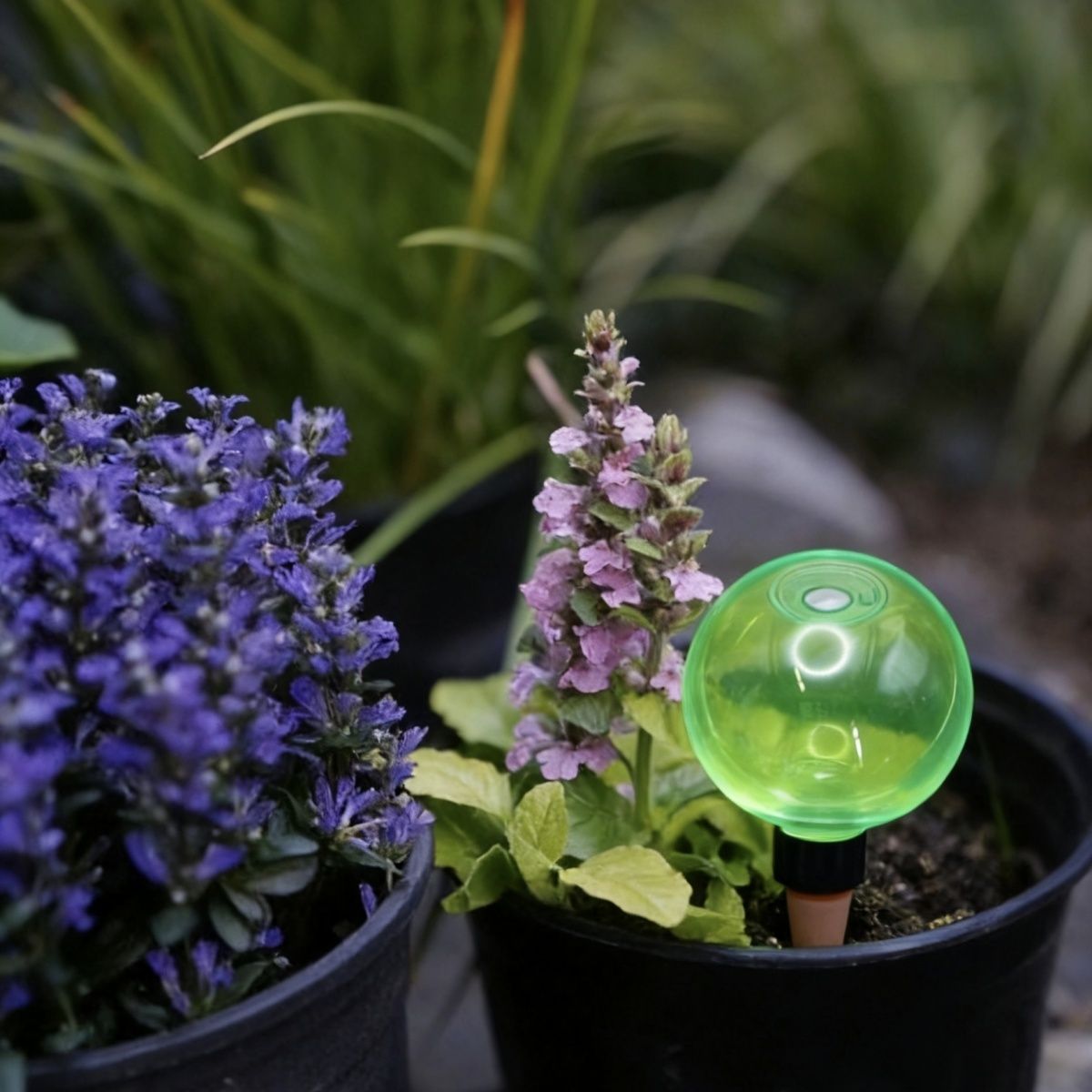 3er-Set große selbstbewässernd – Self-Watering Planter Bewertung und Preis