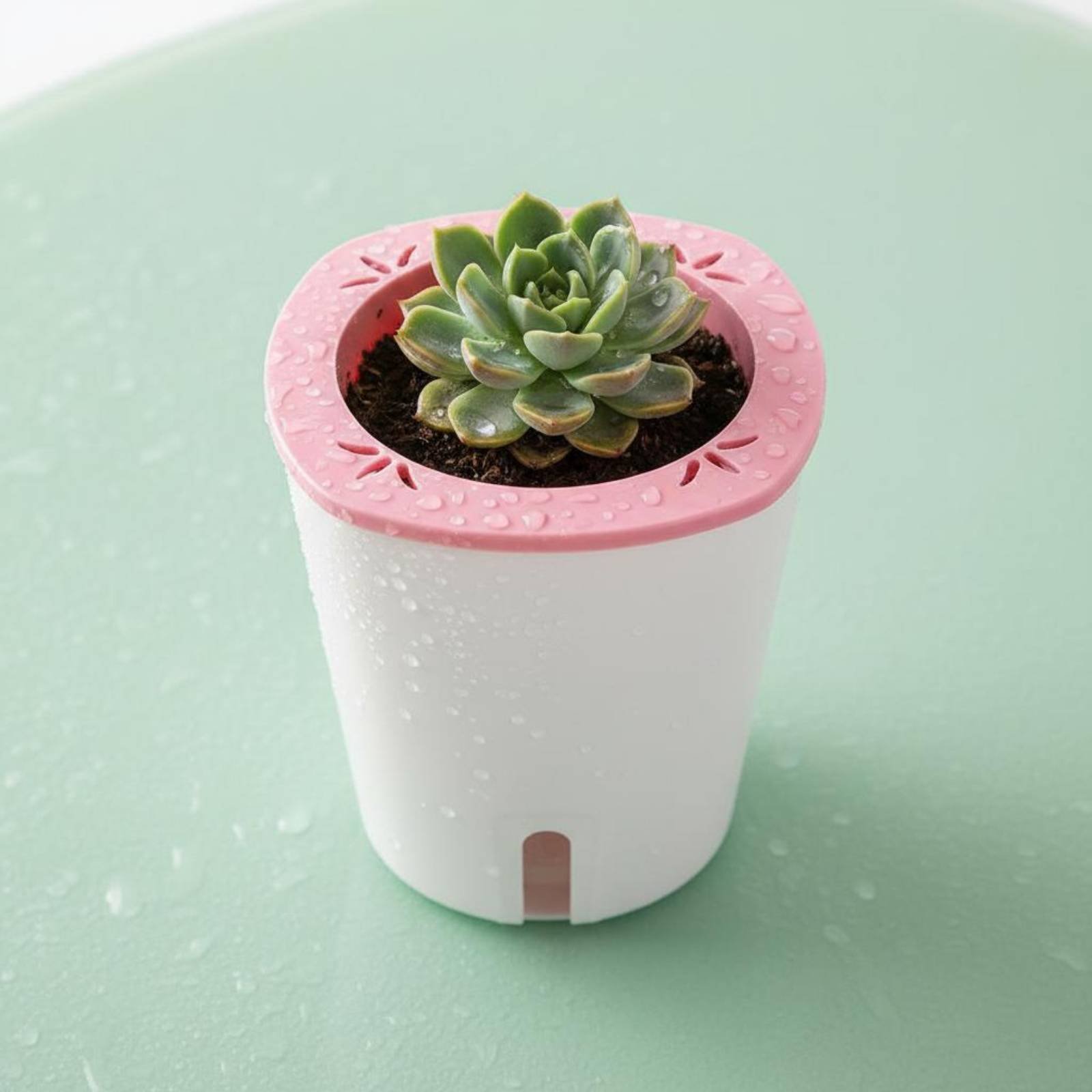 Selbstbewässernder Pflanzkübel – Self-Watering Planter Bewertung und Preis
