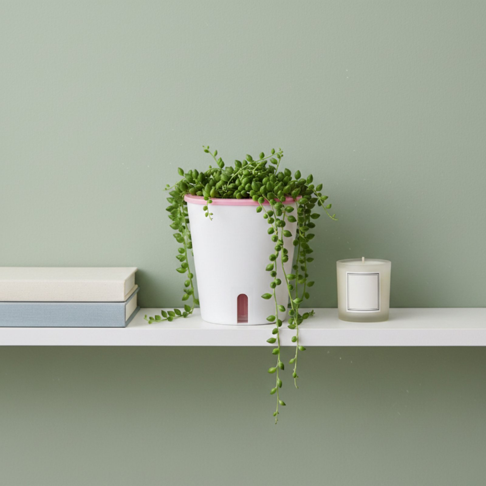 Selbstbewässernder Pflanzkübel – Self-Watering Planter Bewertung und Preis