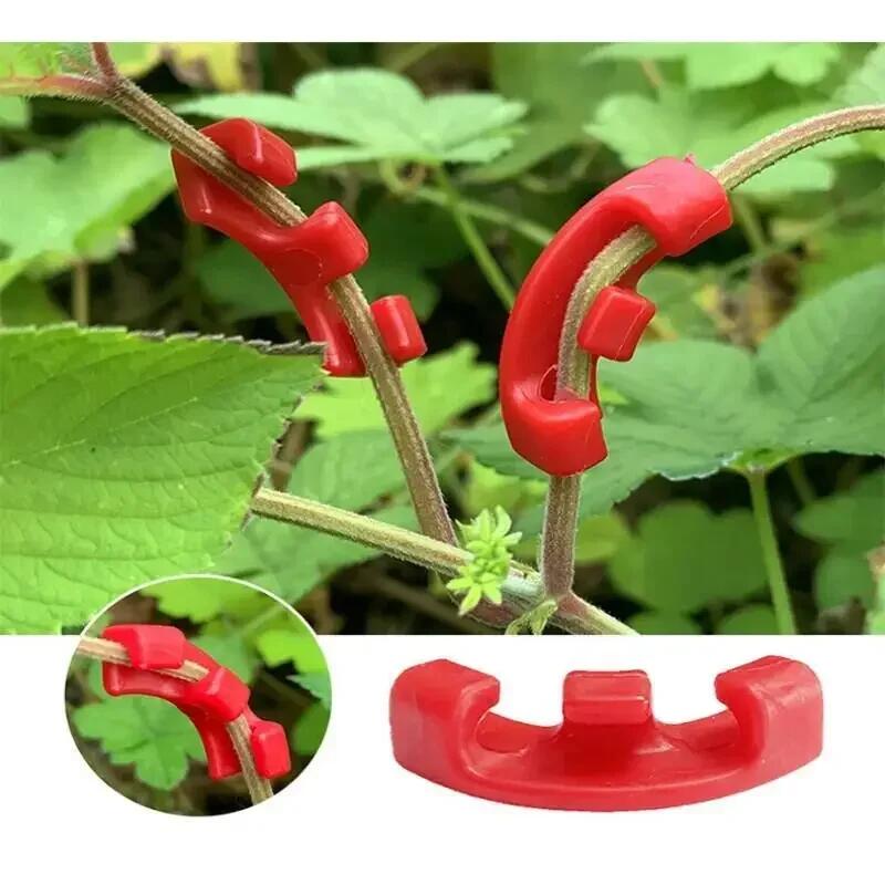 10-200 Stück 90-Grad-Pflanzenb – Gardening Tools Lowes Bewertung und Preis